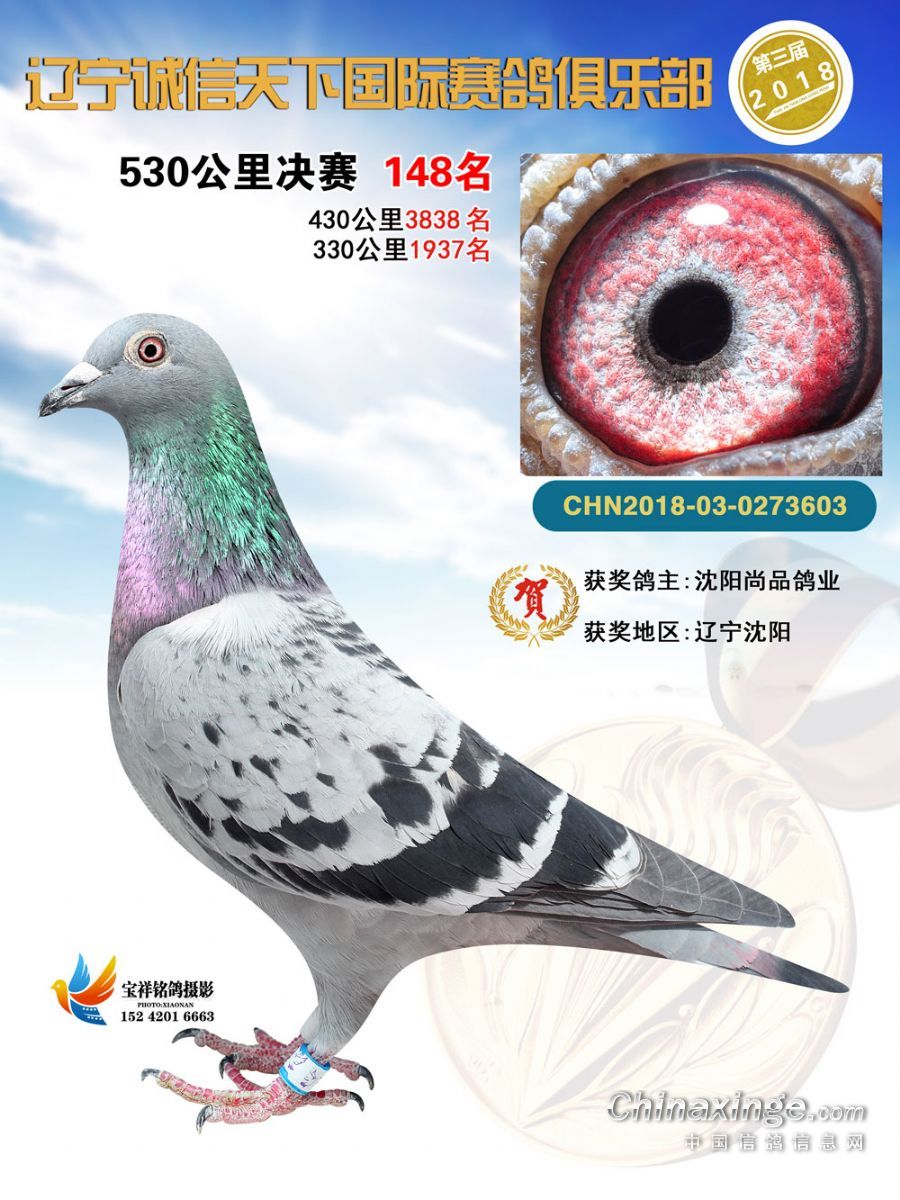 辽宁宏源鸽舍 - 中信网铭鸽展厅 www.ag188.com