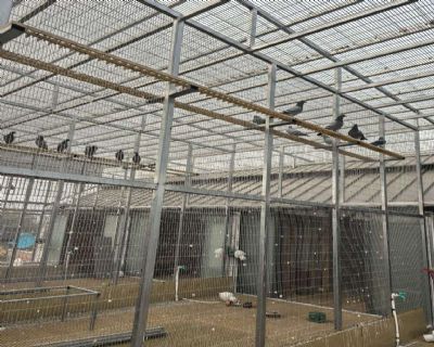 ���������Ļ���ý