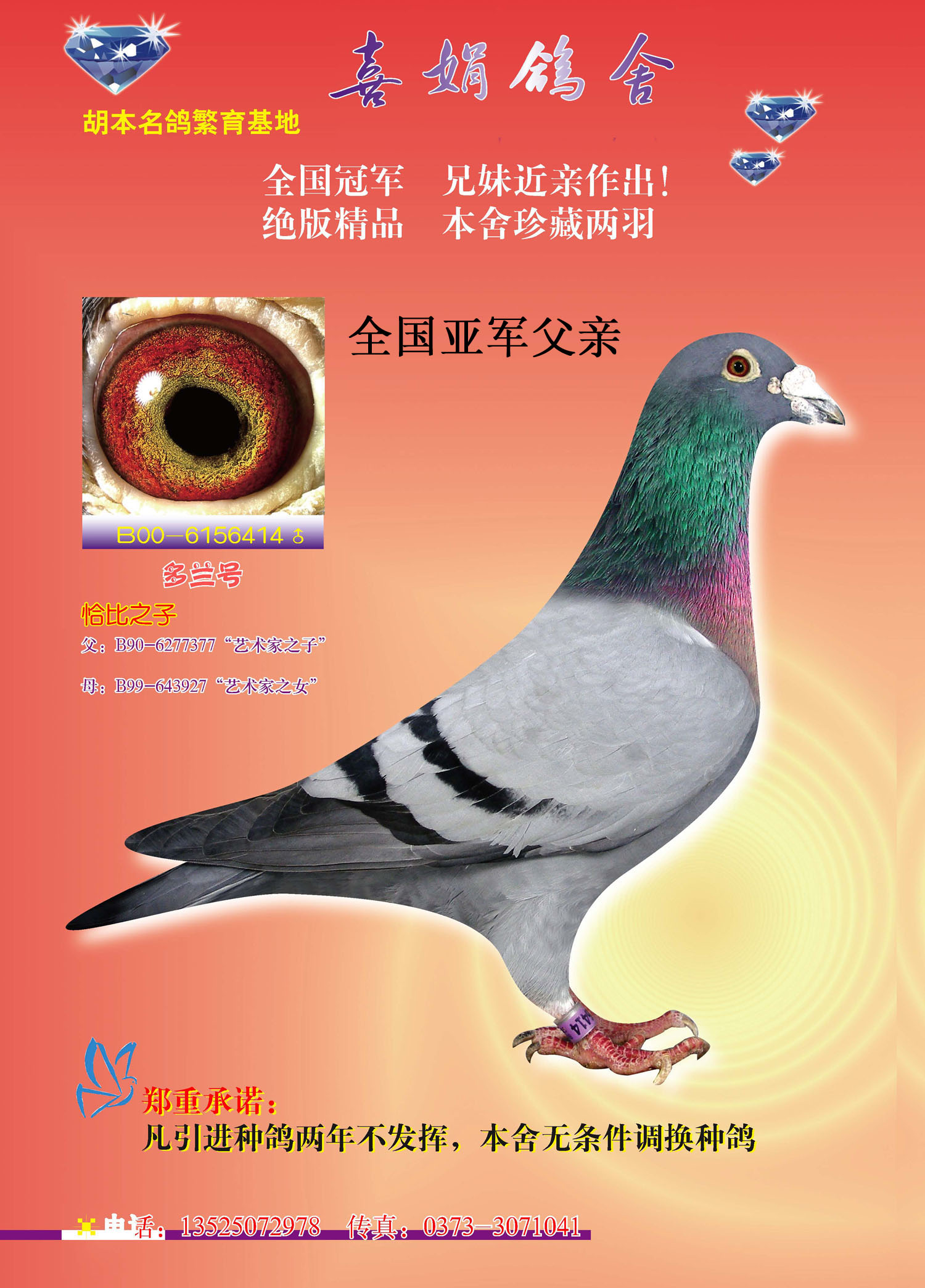 胡本09年亚精顿全国亚军兄第 保证金级 拍卖