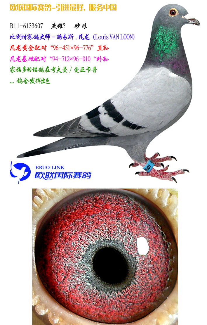 凡龙原舍最新精品-5 保证金级 拍卖