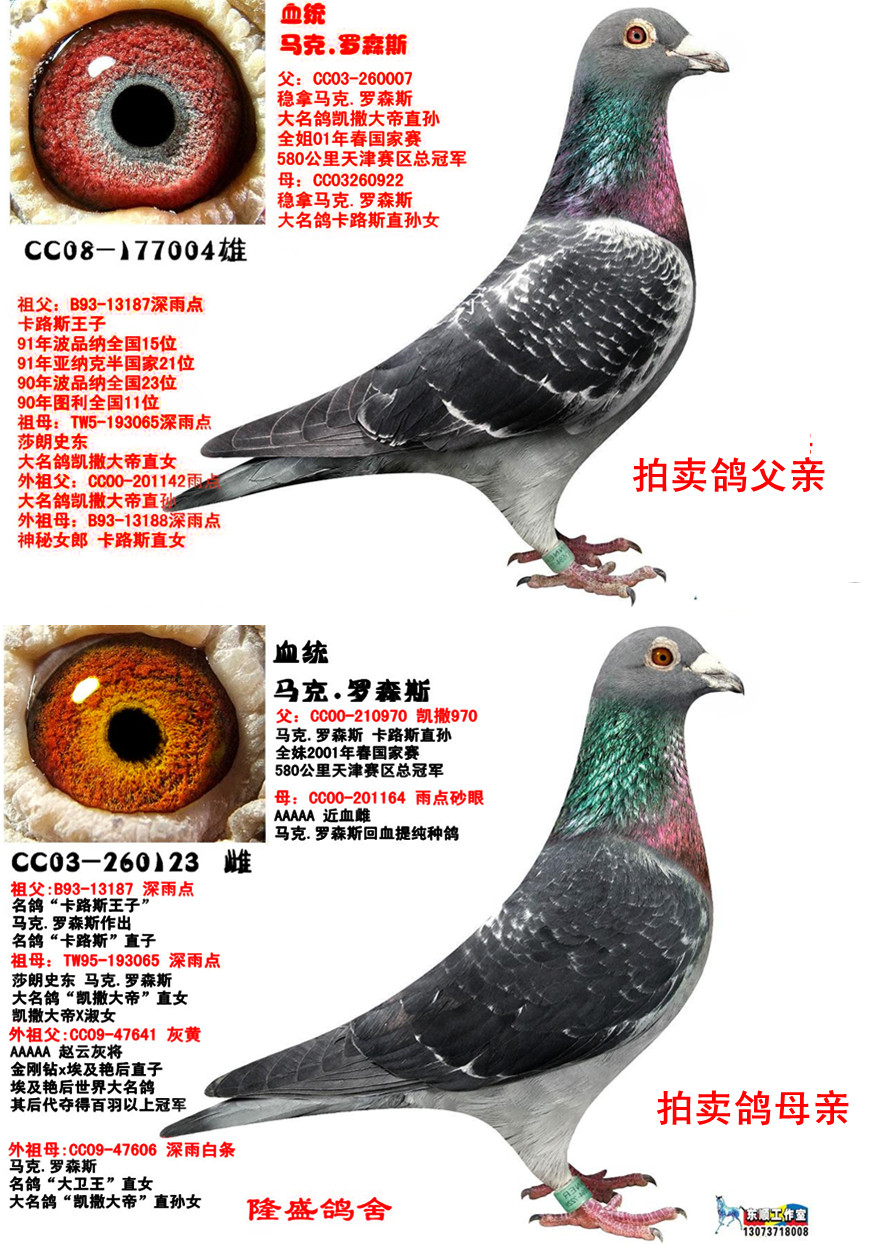 马克.罗森斯高代提纯 保证金级 拍卖