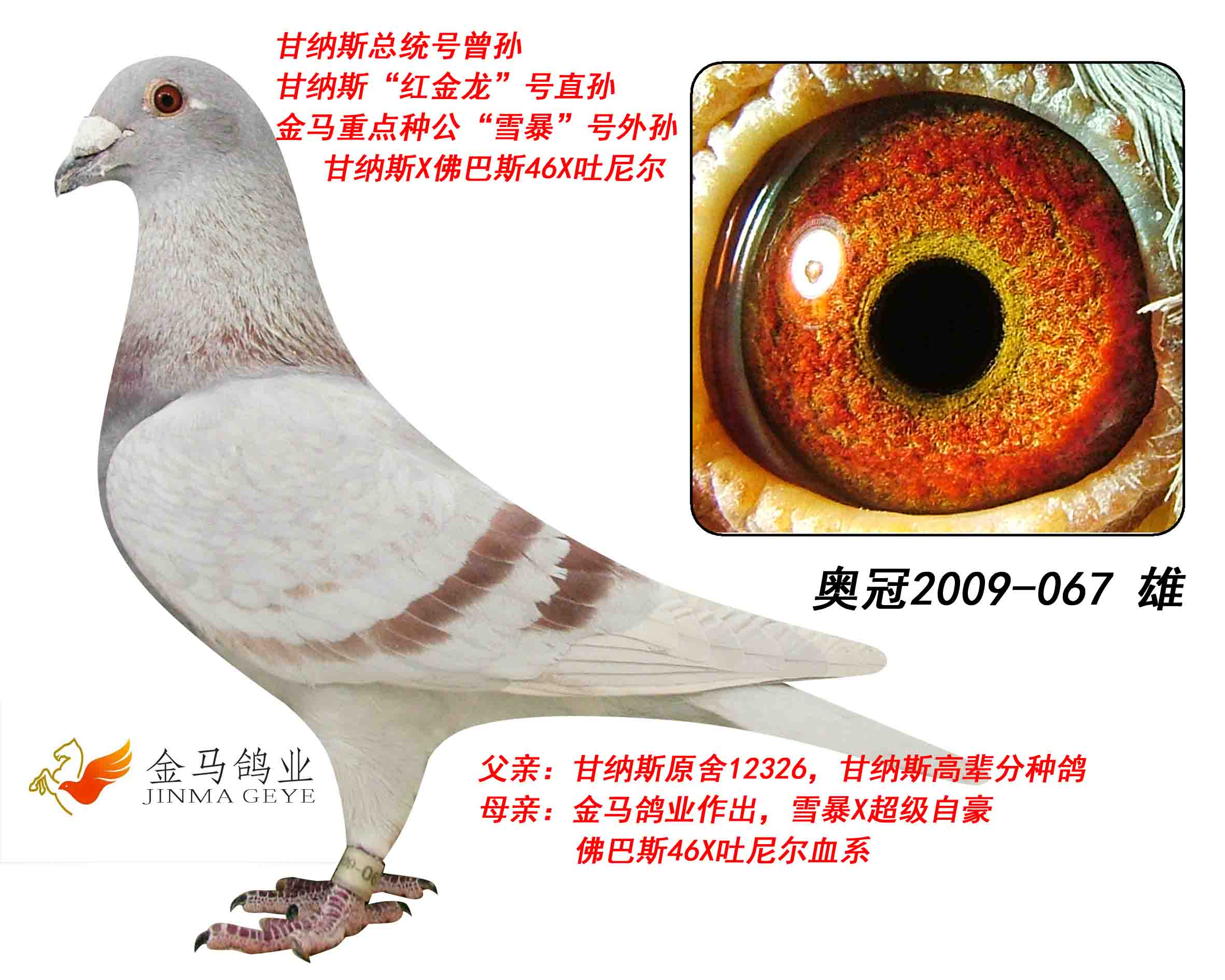 >> 查看拍卖商品
