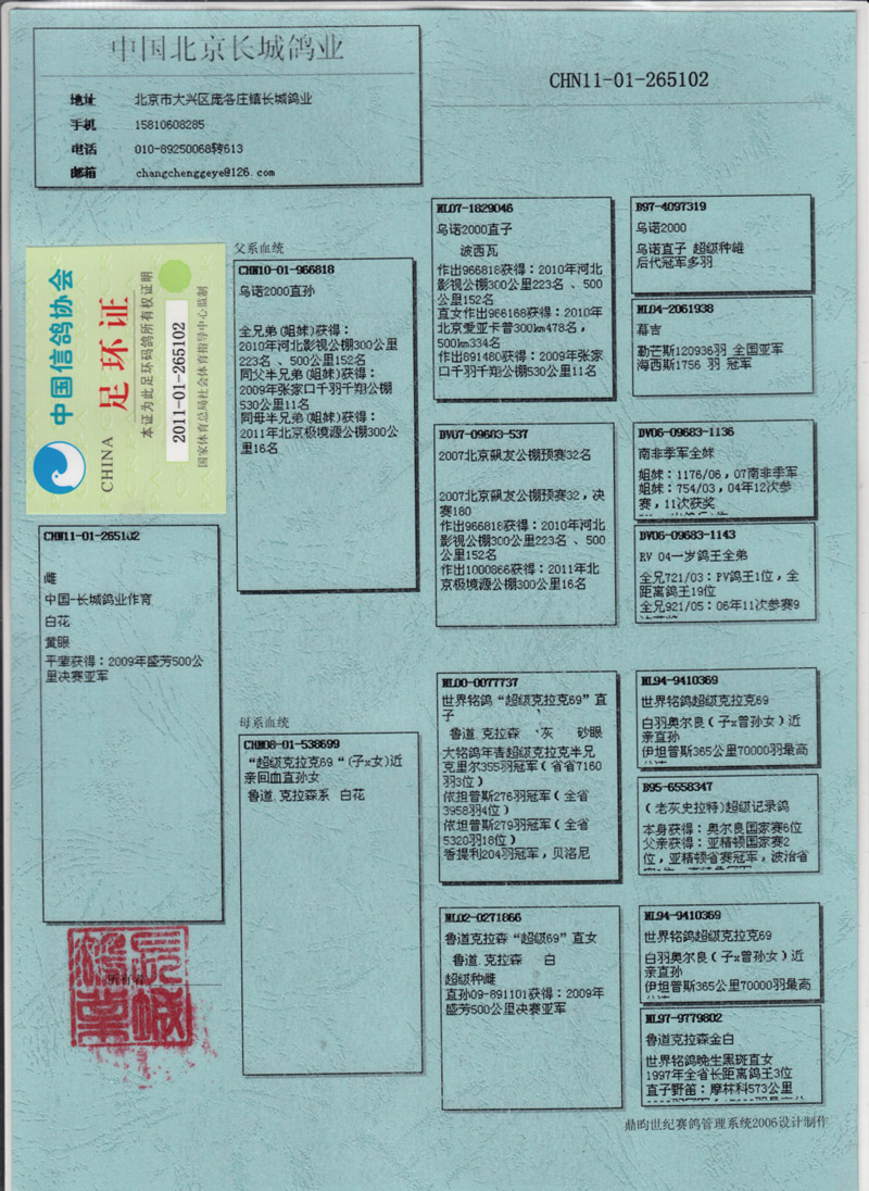 中国长城鸽业-17 保证金级 拍卖