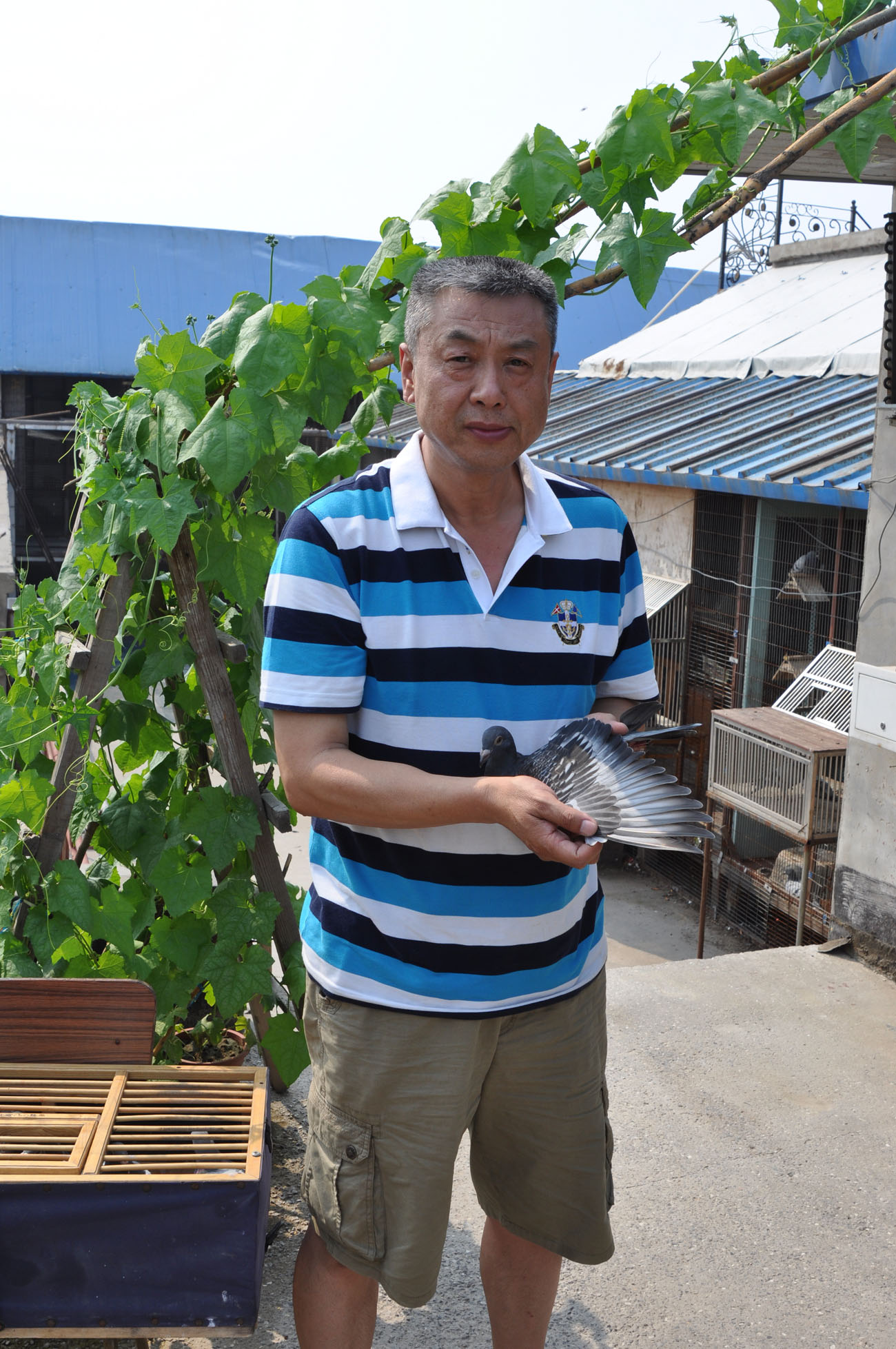 首都信鸽文化推广中心