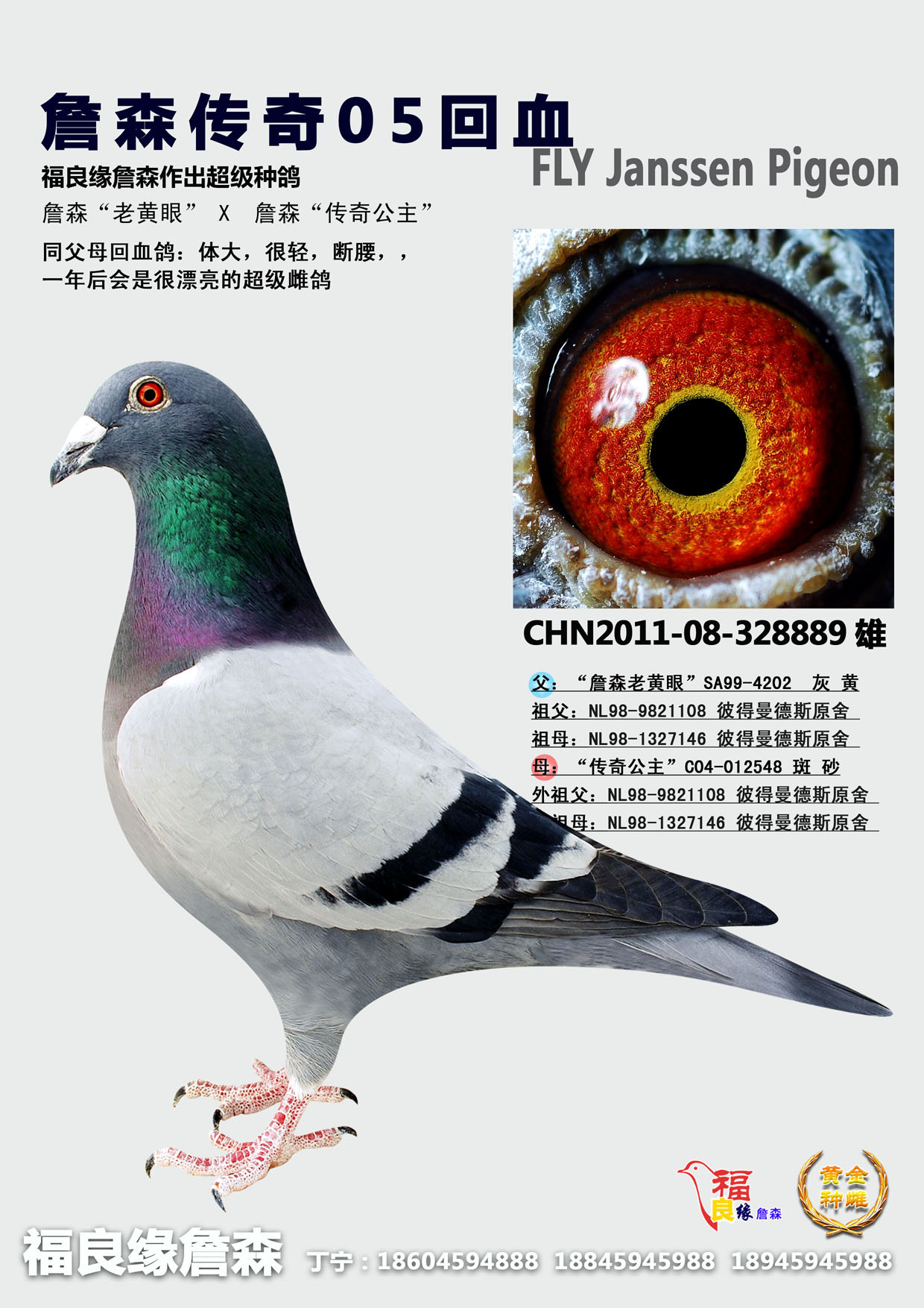 詹森传奇05回血 保证金级 拍卖