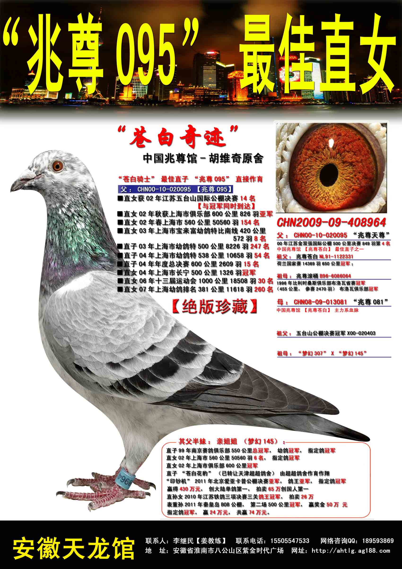 信鸽在线拍卖平台 - 中国信鸽信息网