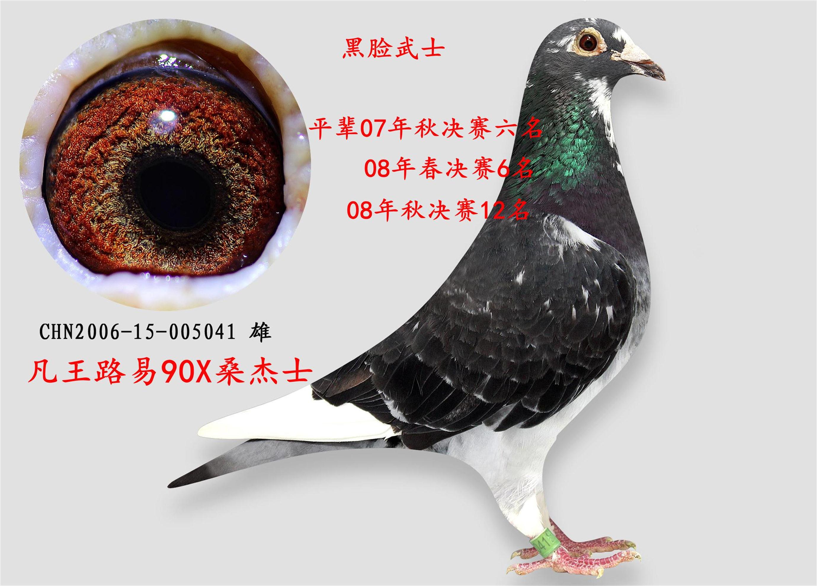 >> 查看拍卖商品