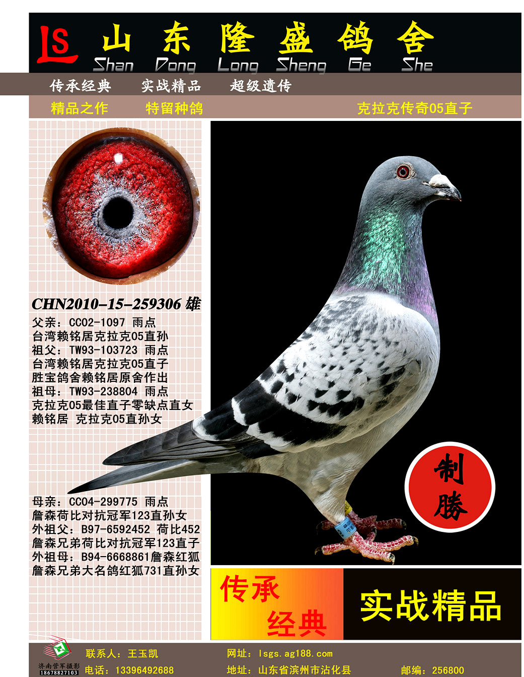 克拉克05多重近血 保证金级 拍卖