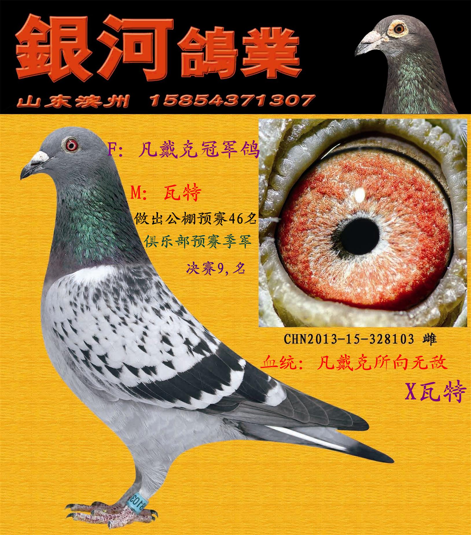 凡戴克 保证金级 拍卖