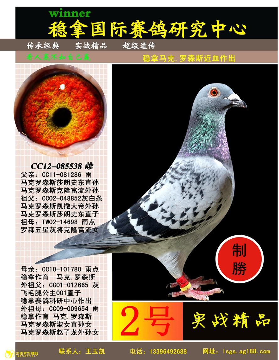 稳拿马克.罗森斯近血 保证金级 拍卖