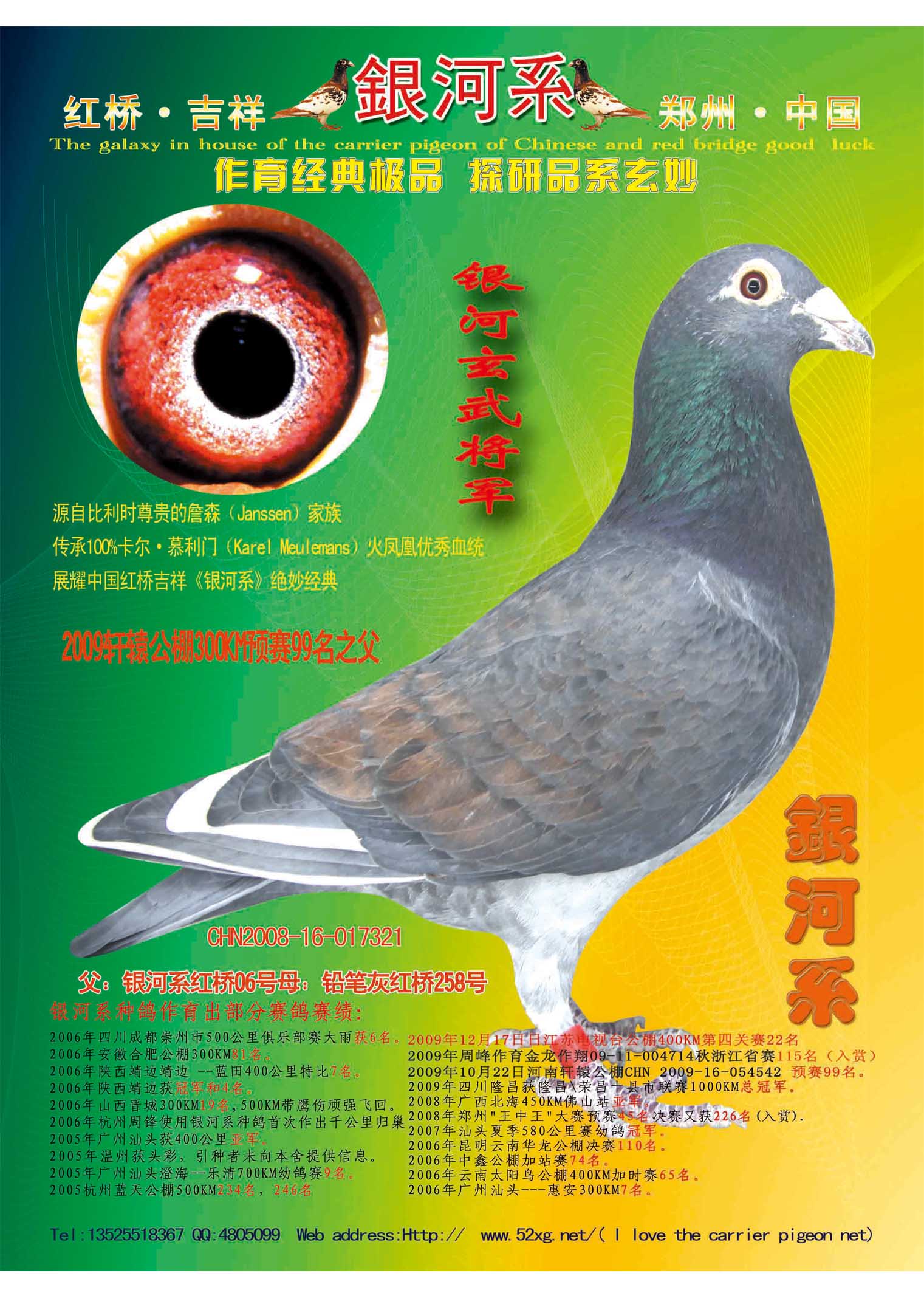信鸽在线拍卖平台 - 中国信鸽信息网