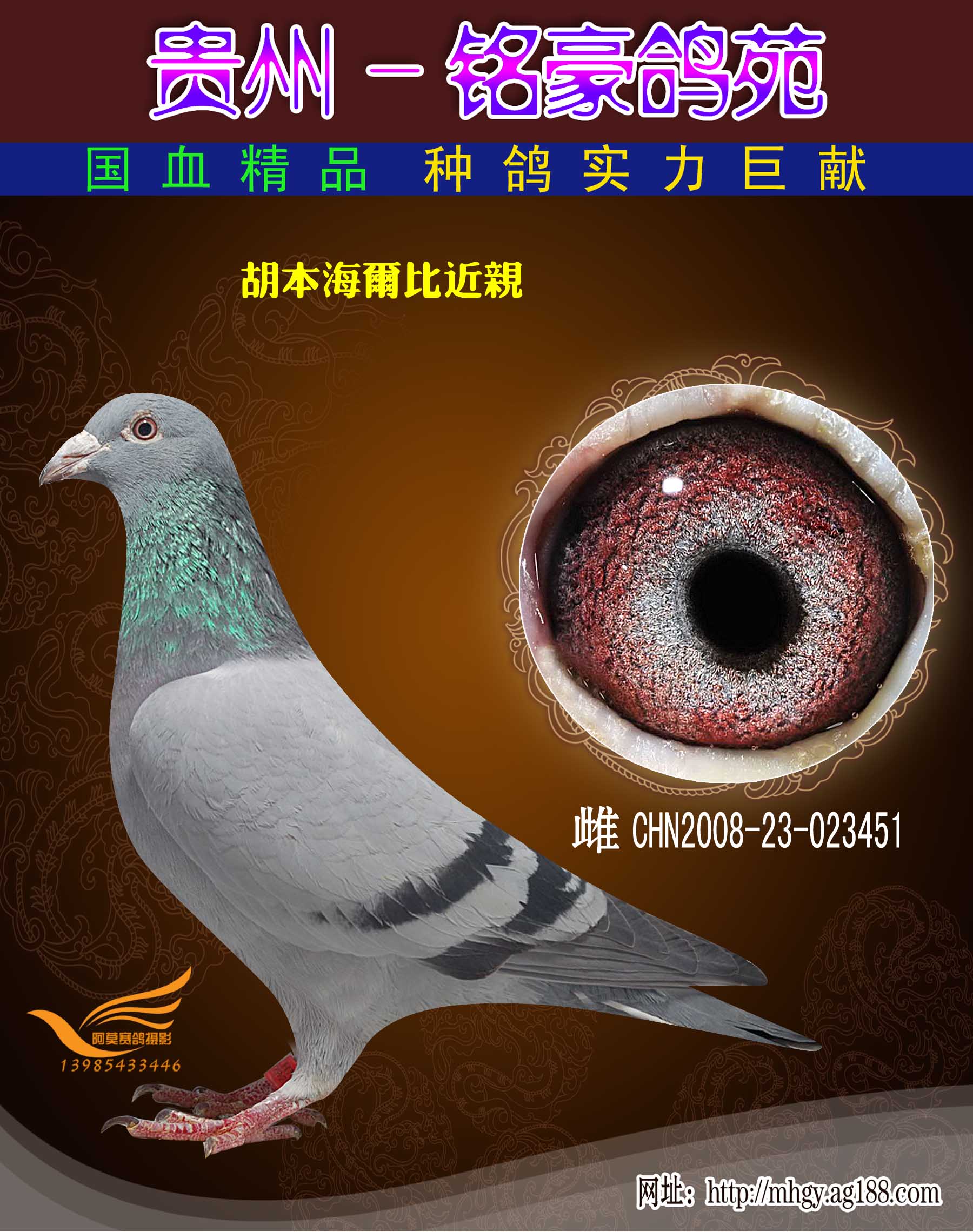 胡本海尔比近亲 保证金级 拍卖