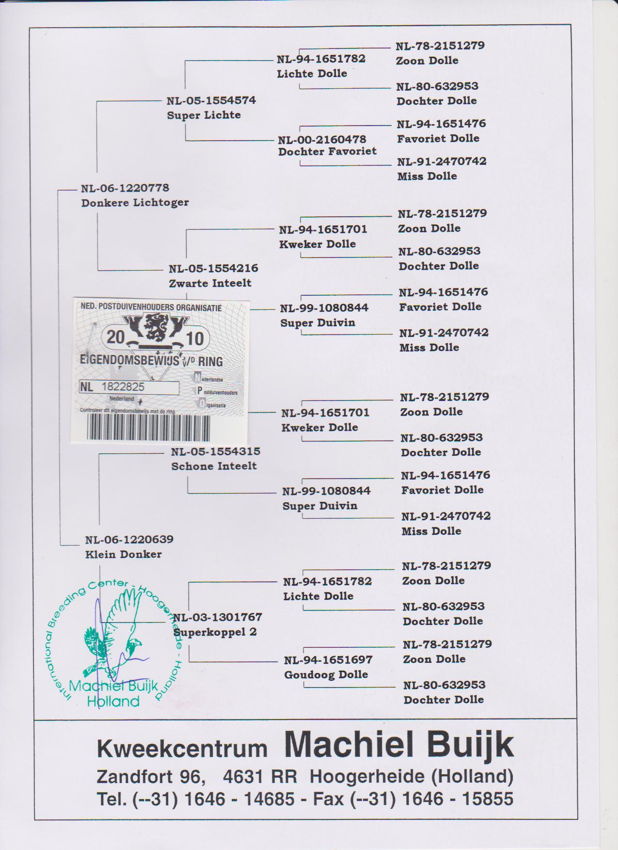 14 保证金级 拍卖