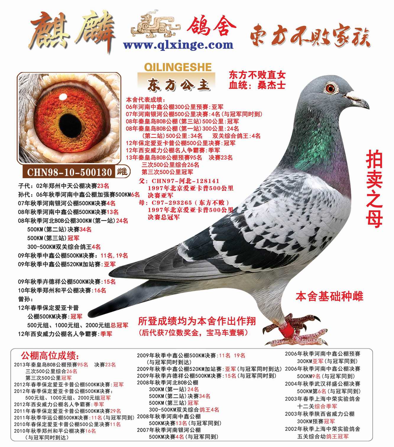 >> 查看拍卖商品