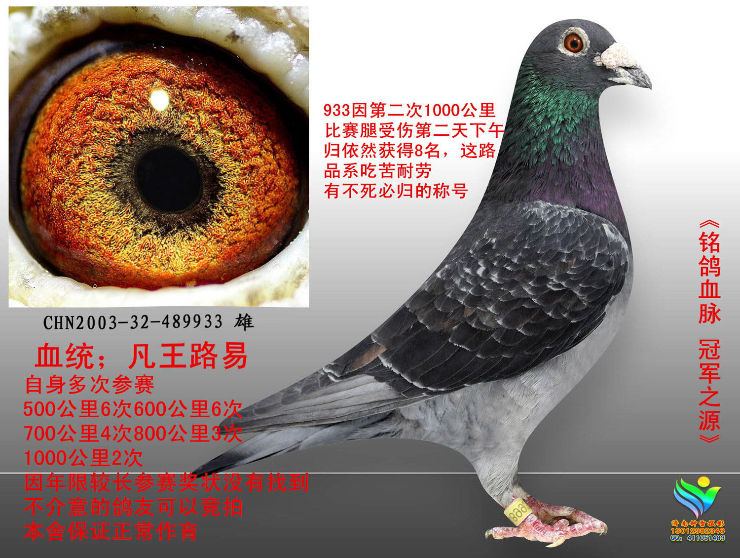 凡王路易933 保证金级 拍卖