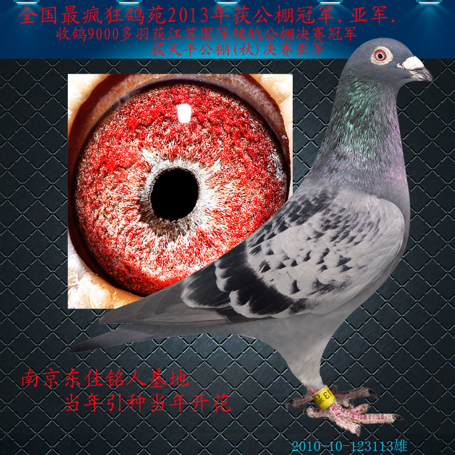 林柏格鸦片近亲回血 ￥500元 219649 2 凡龙 ￥500元 219650 3 林波尔