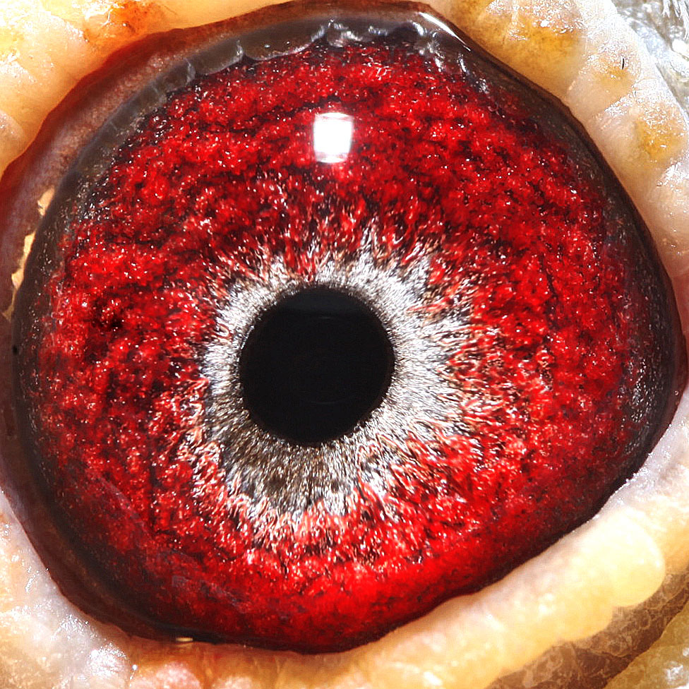 >> 查看拍卖商品