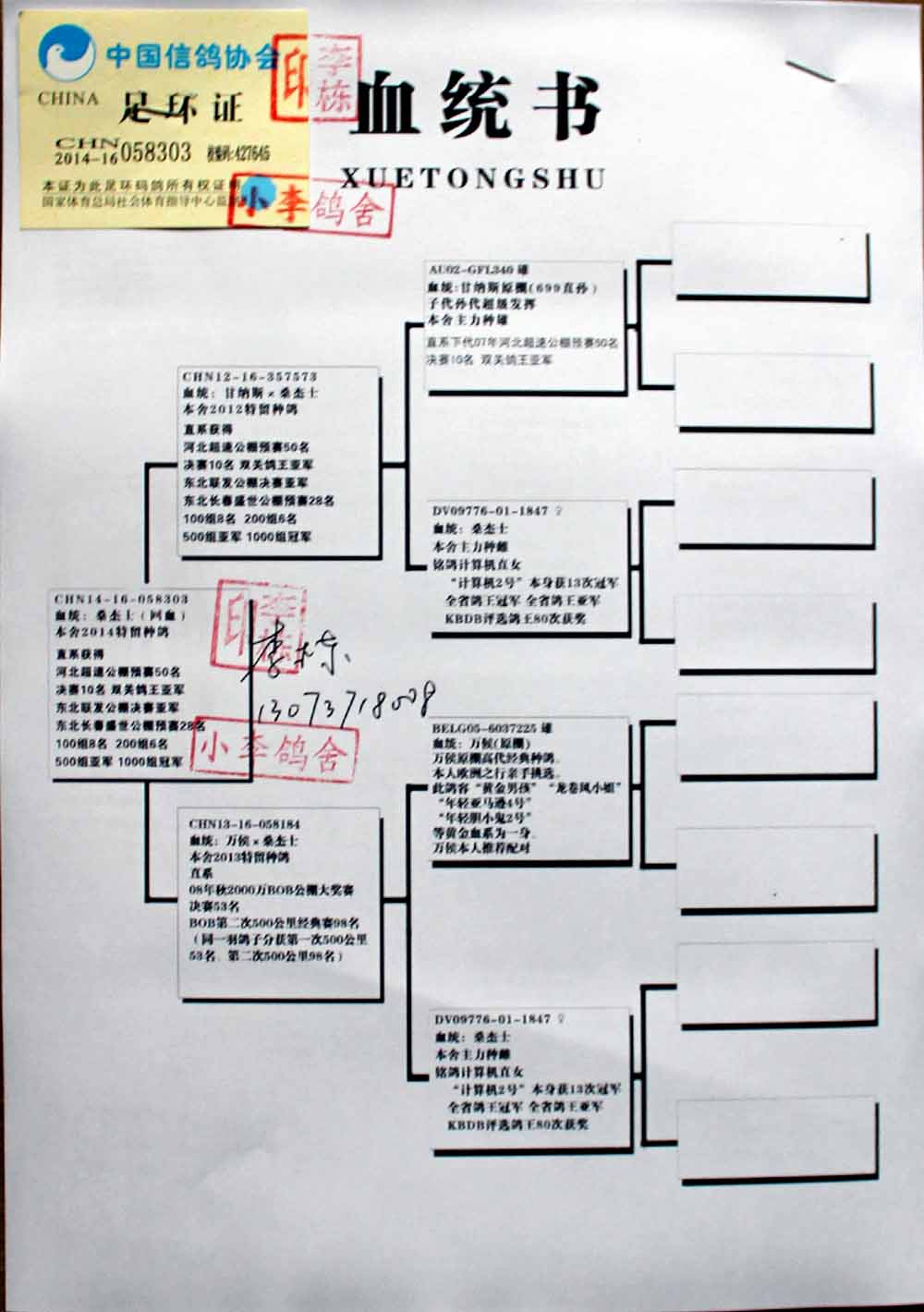 信鸽回血提纯公式图片图片