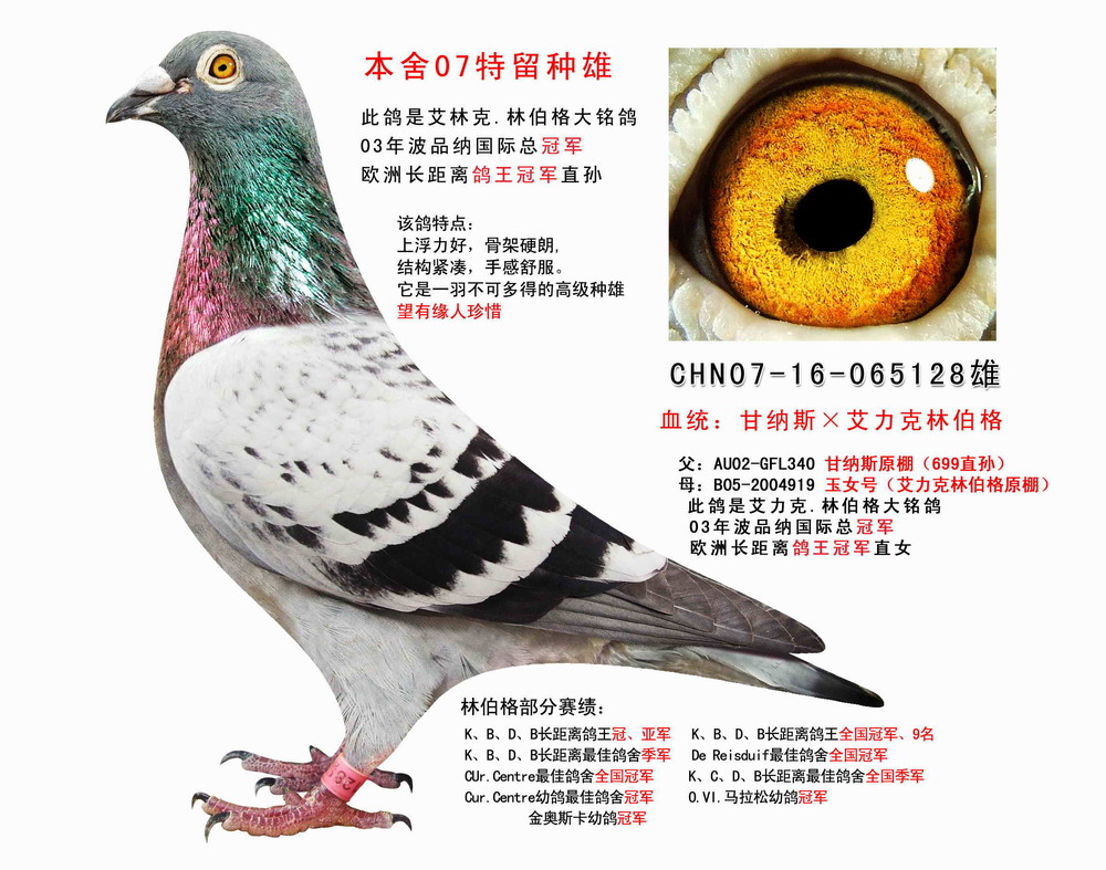 >> 查看拍卖商品