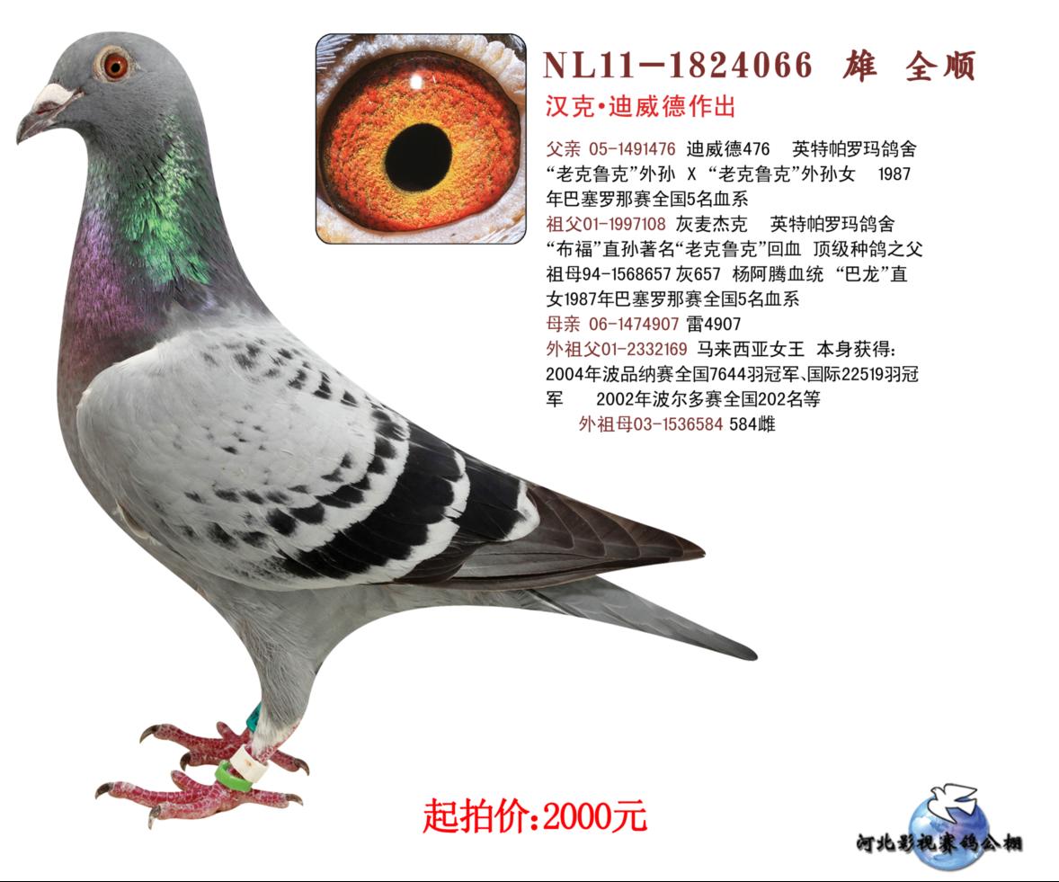 湖北东裕：助力企业迈向智能化生产