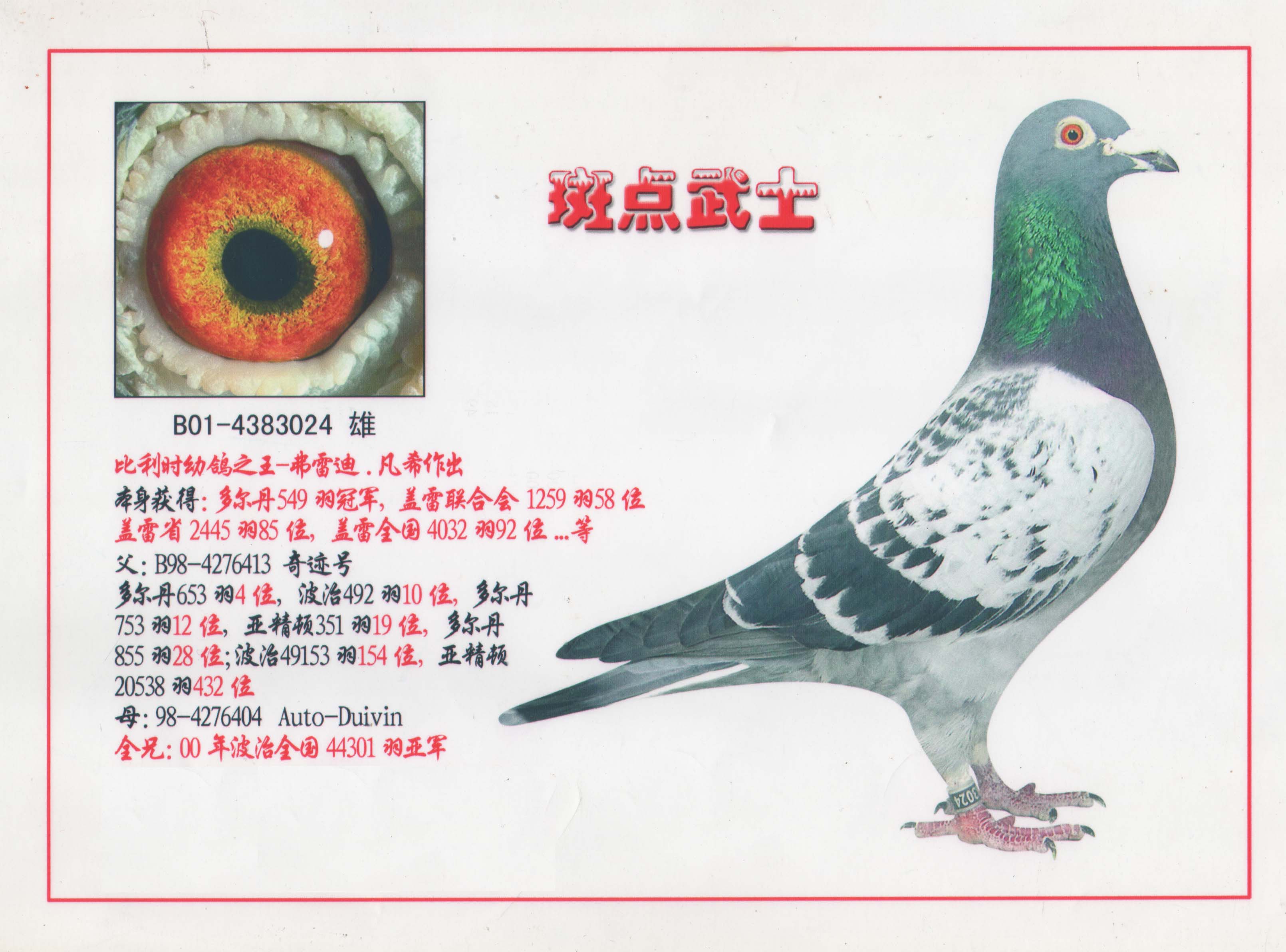 速霸龙冠军953【已出售】