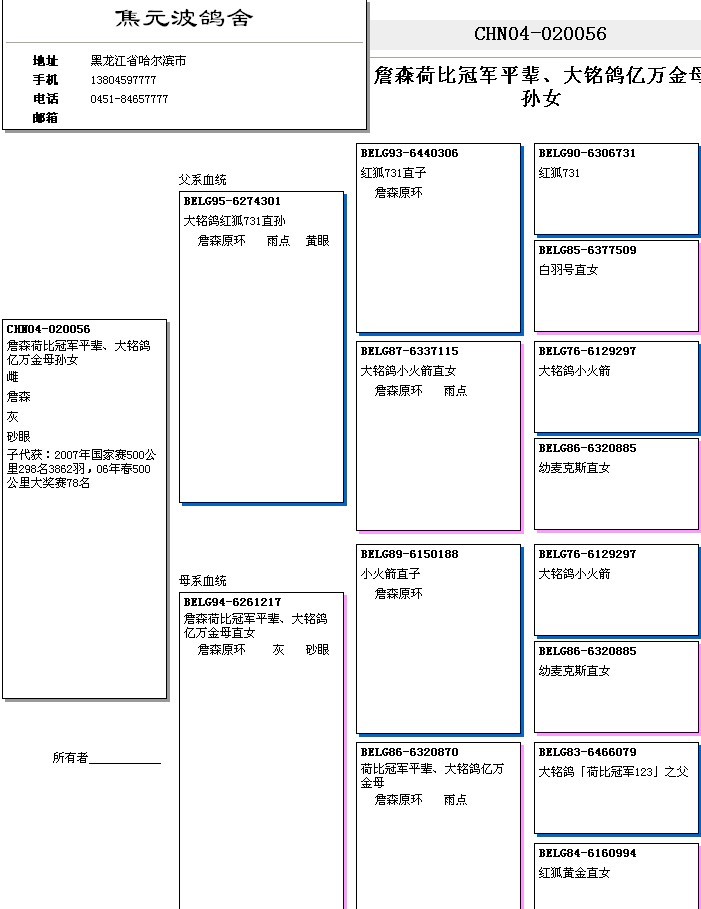 血统书