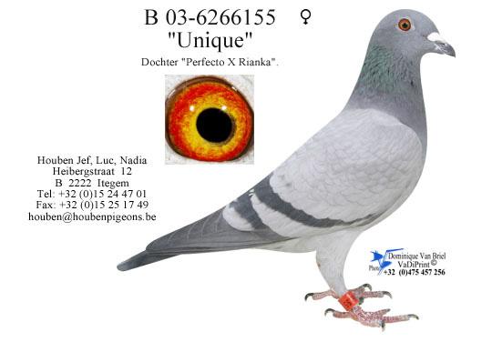 胡本"宇宙号"直女(绝版品)