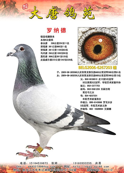 胡本原舍【罗纳德】