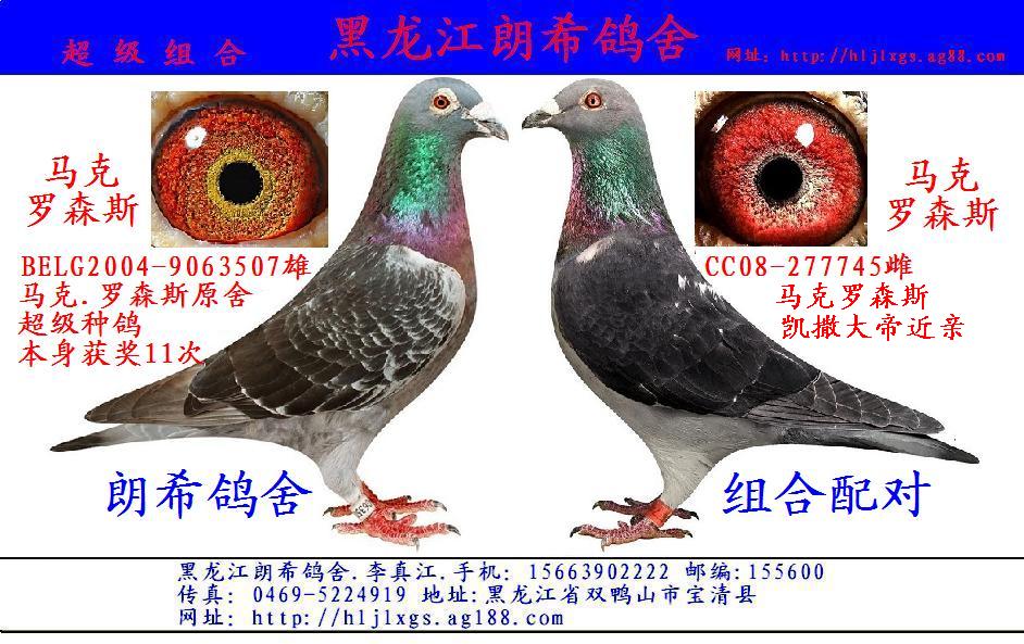 马克.罗森斯