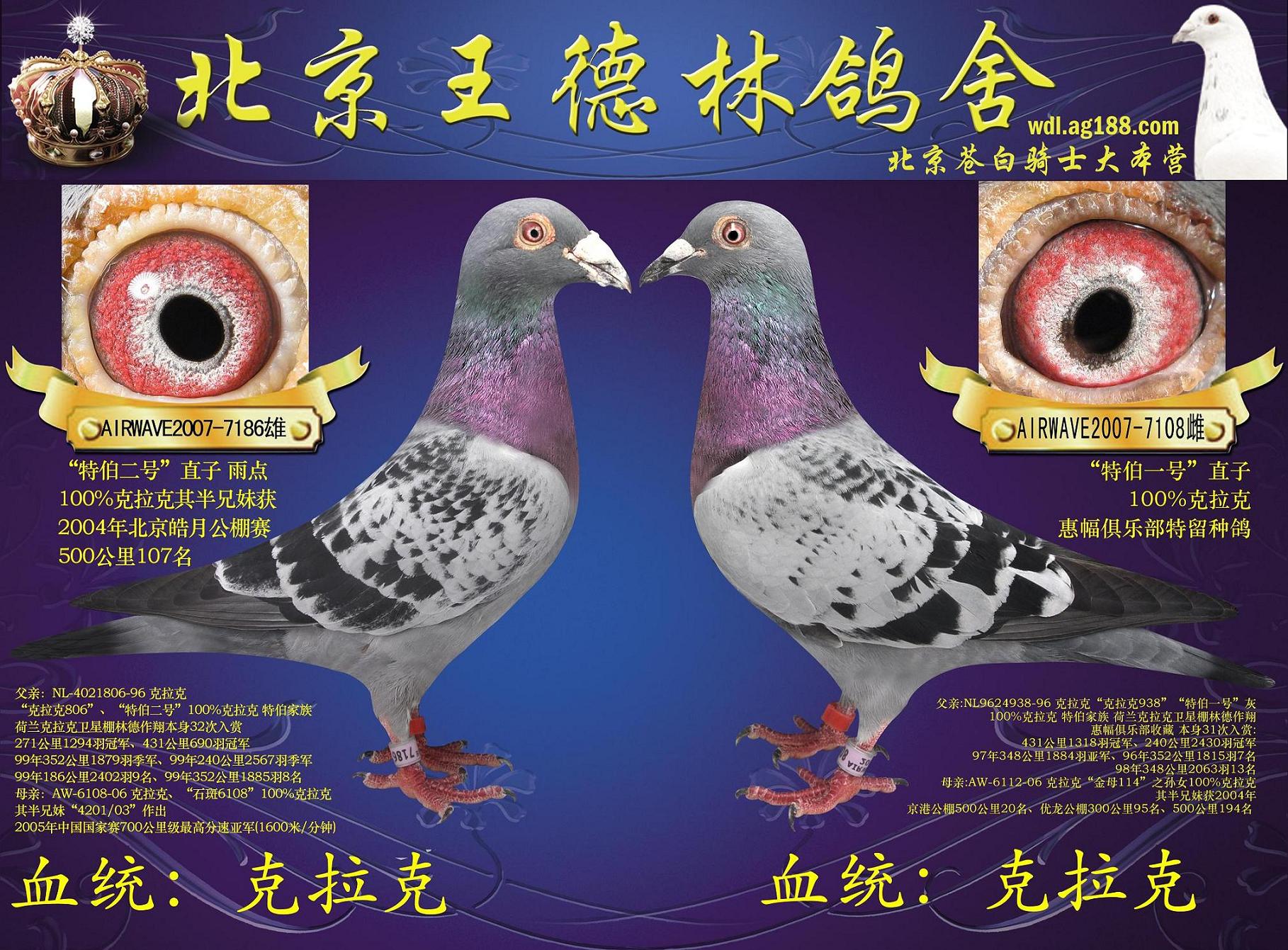 超级克拉克