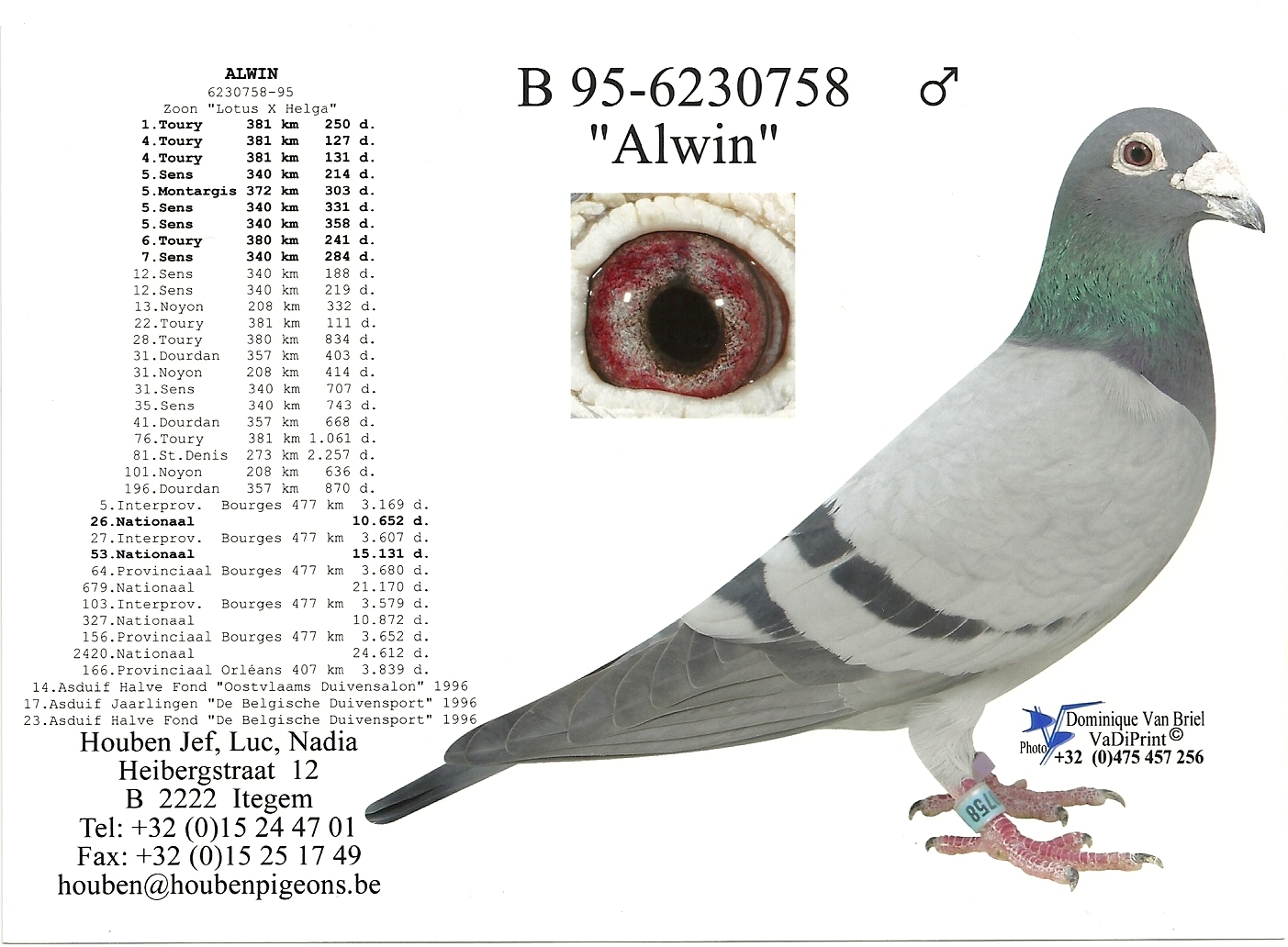 您要找的飓风鸽业展厅服务时间已到期