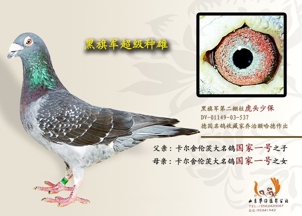 黑旗军第二棚柱 虎头少保