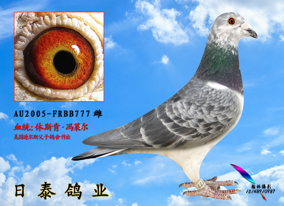 冯莱尔【原环777】