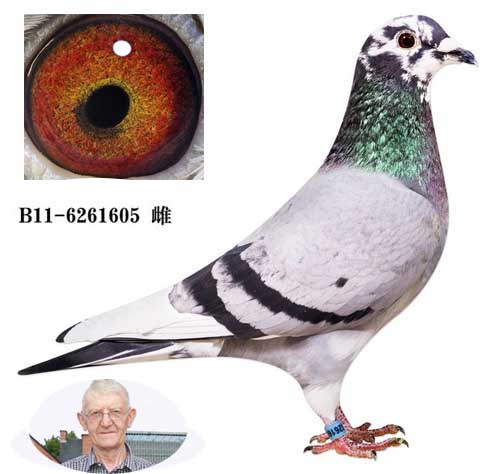 恩格斯605(178外孙女)