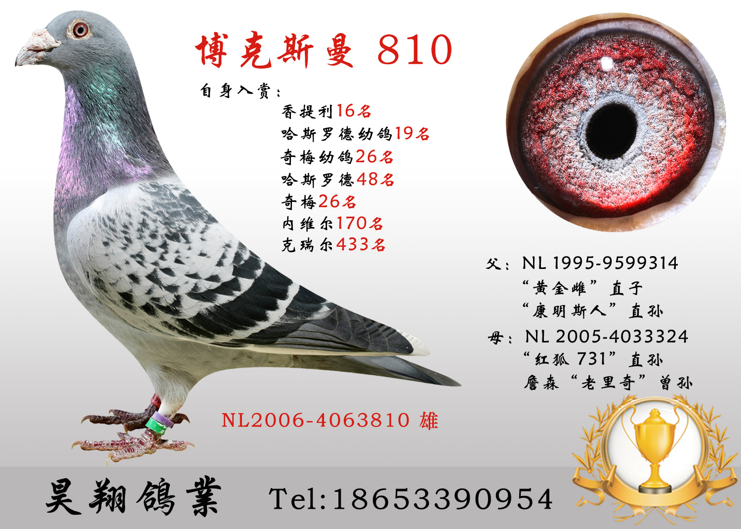 博克斯曼810
