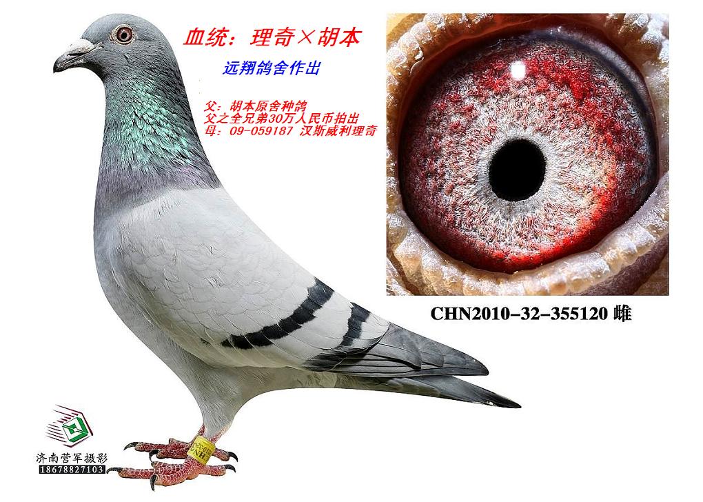 汉斯.威利.理奇