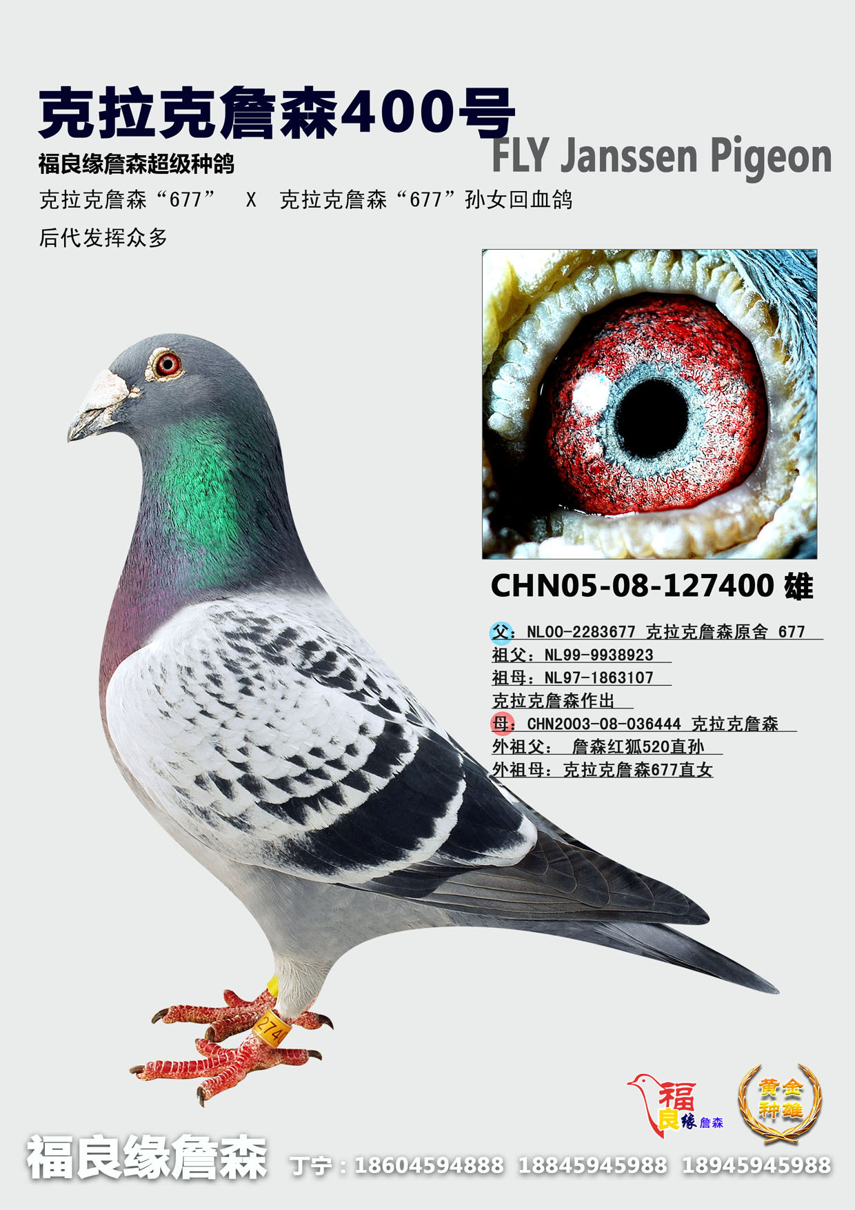克拉克詹森25号*冬日男孩