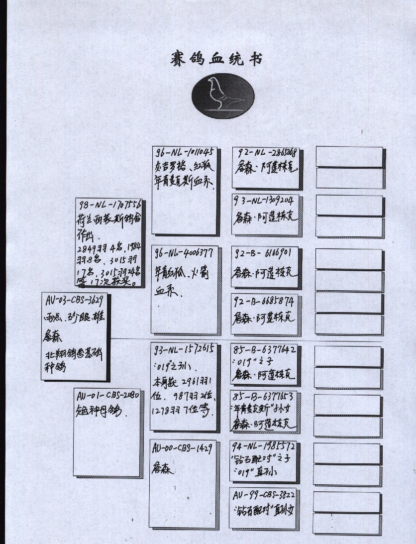 血統書中文