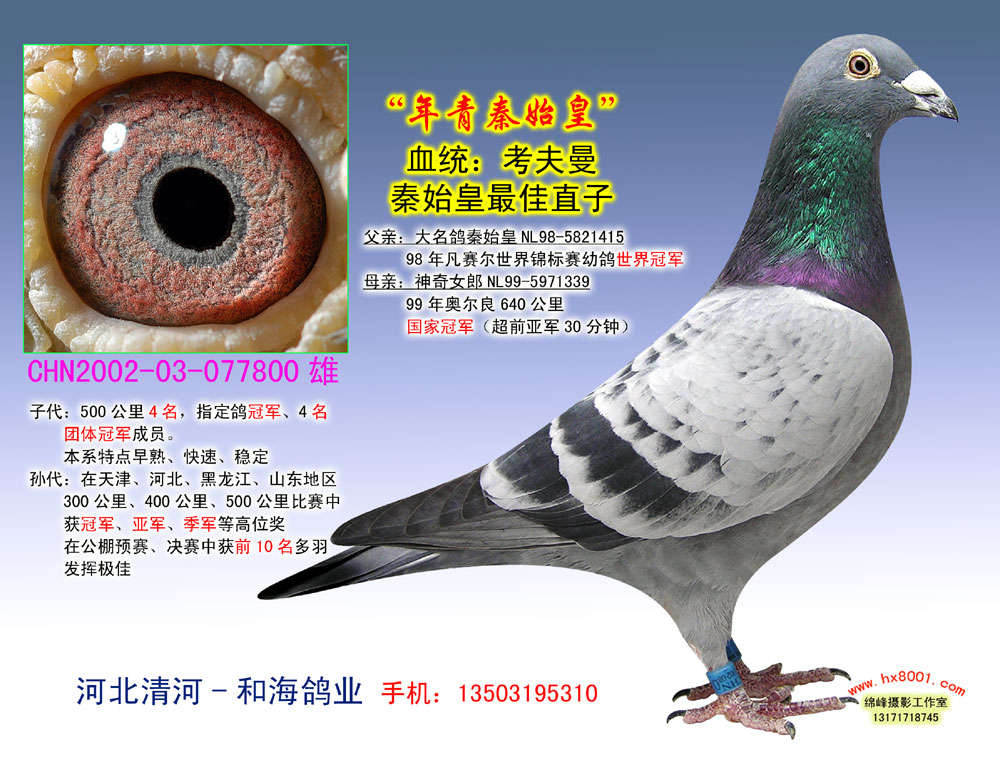 "秦始皇直孙188"