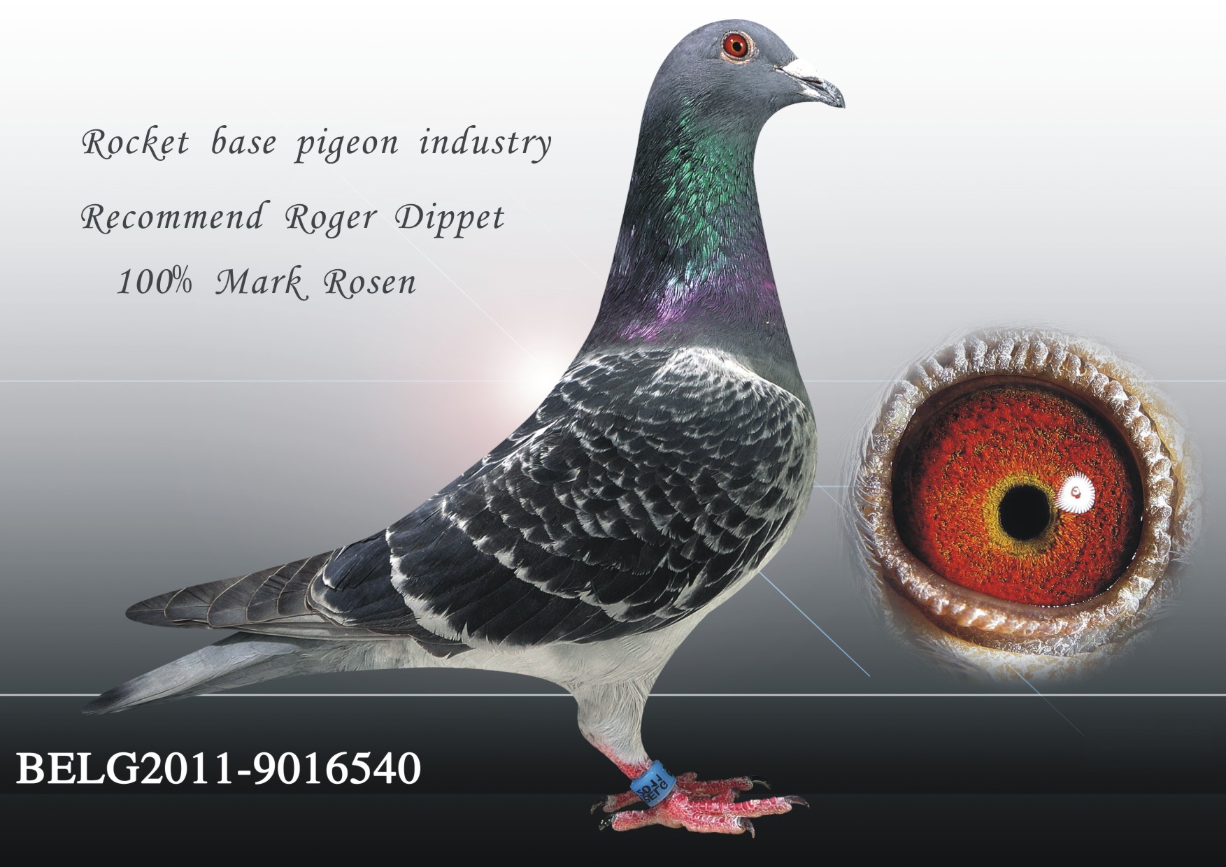 马克.罗森斯(已售)