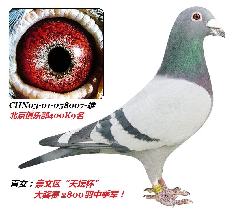 "华侨孙玮詹森007"