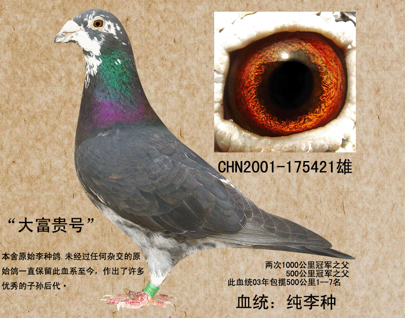 李种王朝"大富贵号"