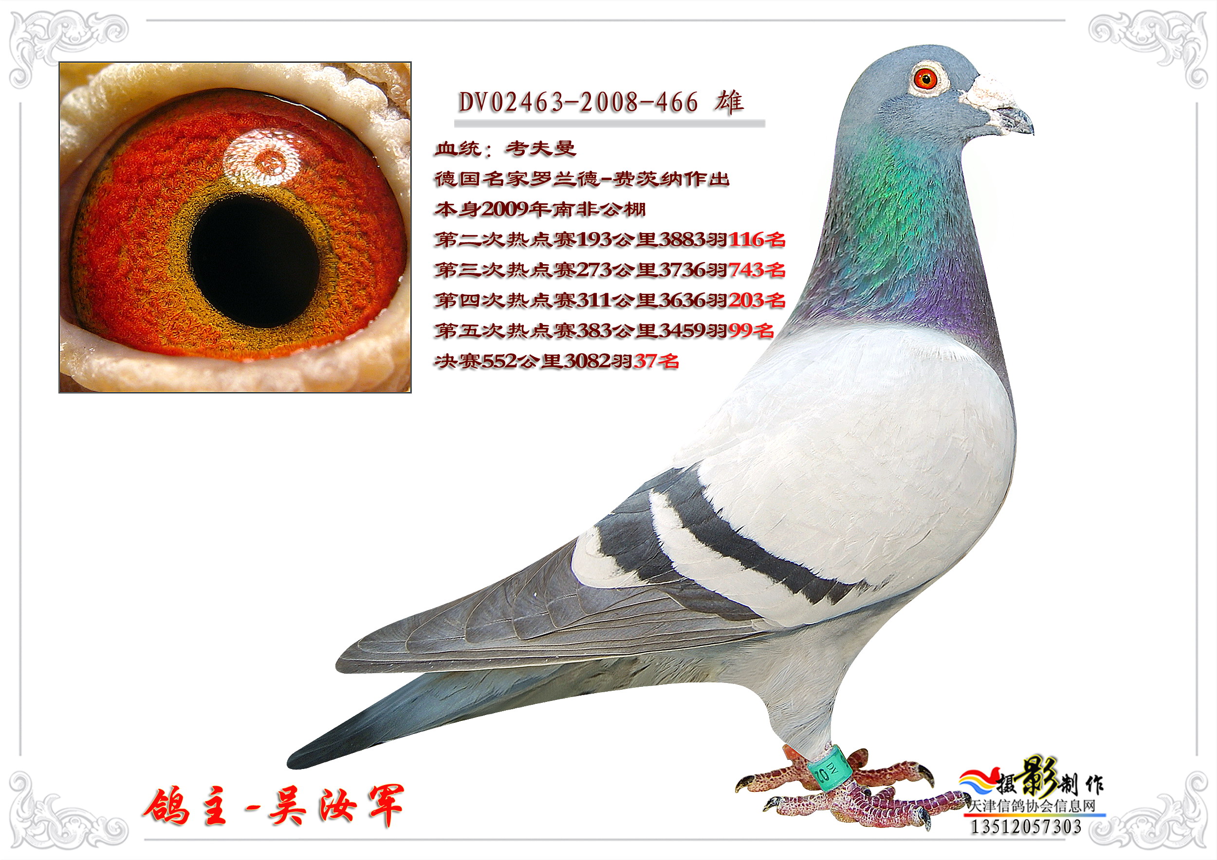 您要找的超越鸽舍展厅服务时间已到期