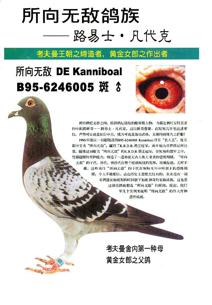 凡戴克所向无敌直子