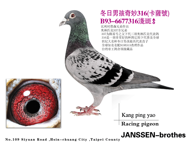 您要找的台湾帝王鸽舍展厅服务时间已到期