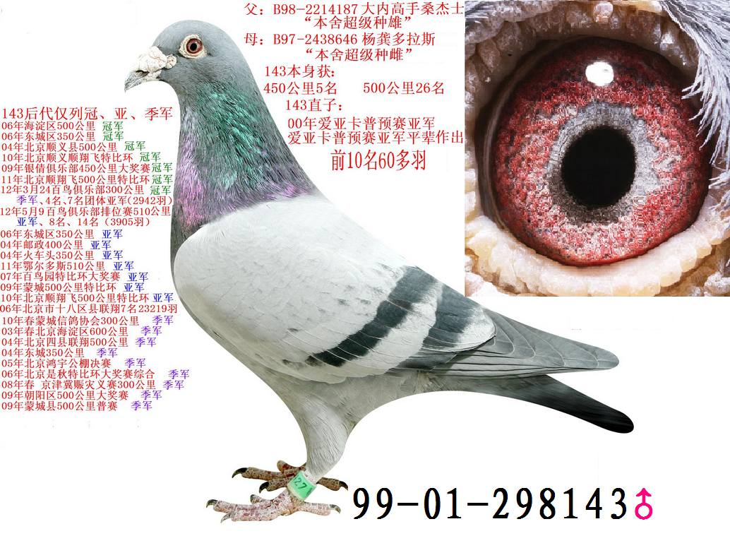 爱亚卡普预赛亚军之父