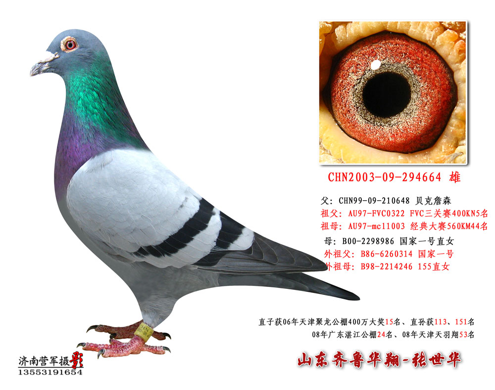 国家一号*贝克詹森