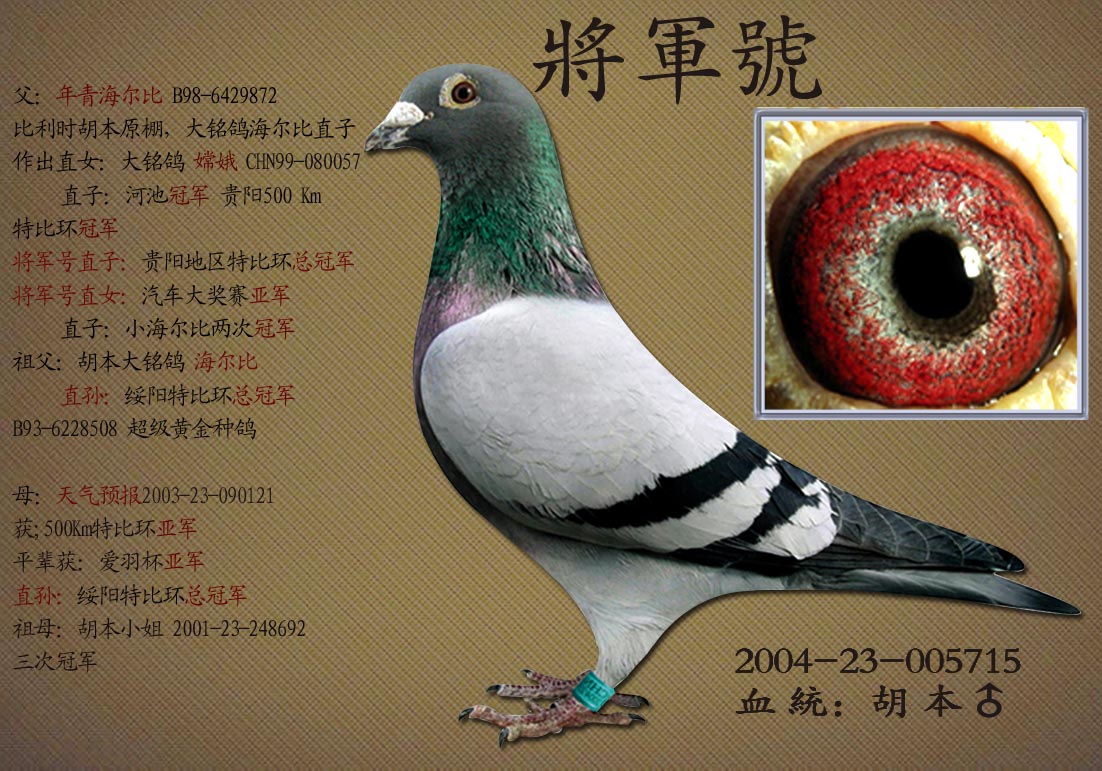 胡本特比冠军