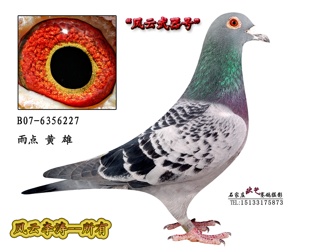 桑杰士武器号
