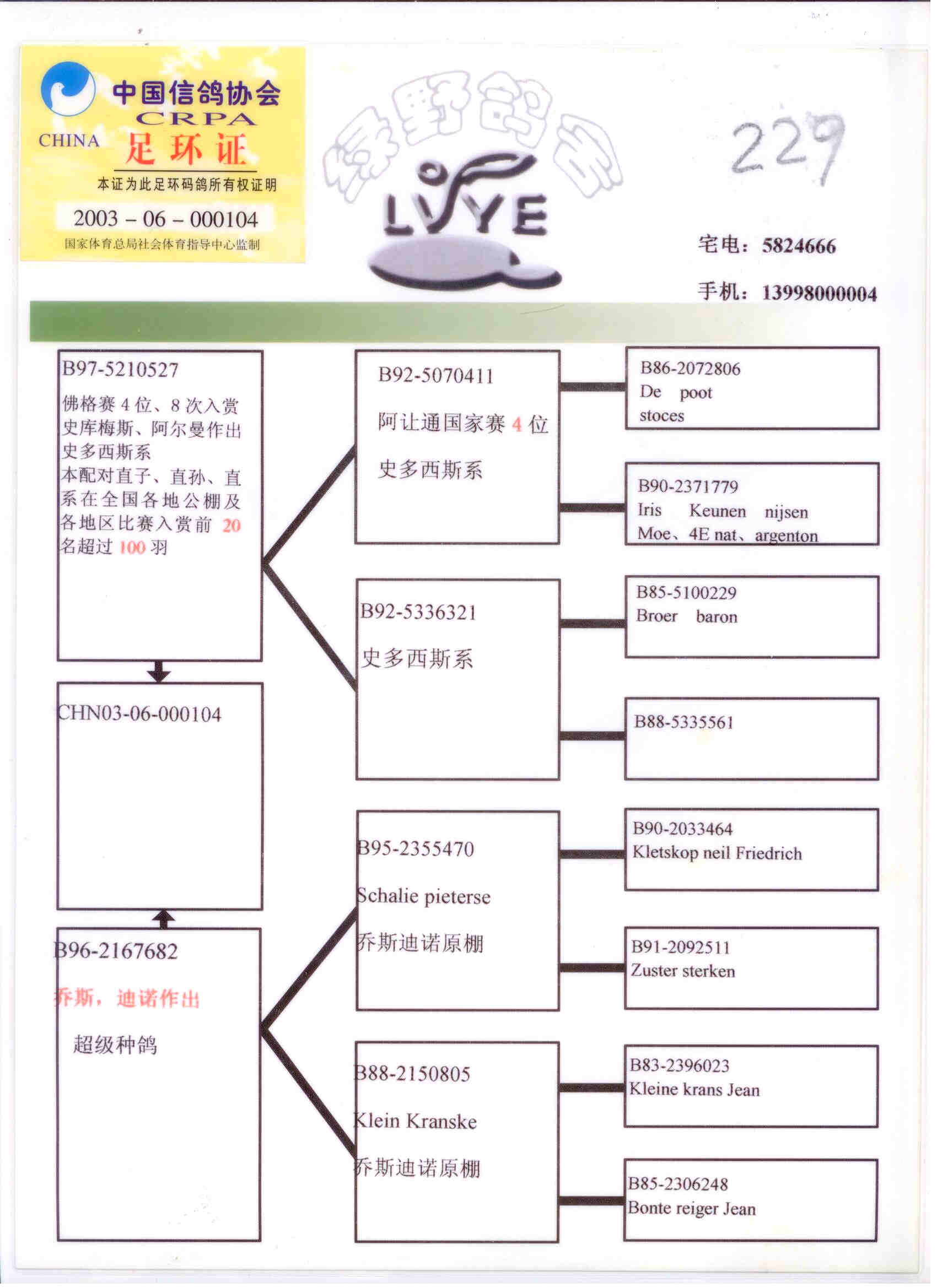 鞍山绿野伟大的史多西斯104